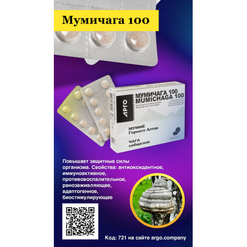 Мумичага (Чага + Мумиё), Апифарм (Арго), 100 таб